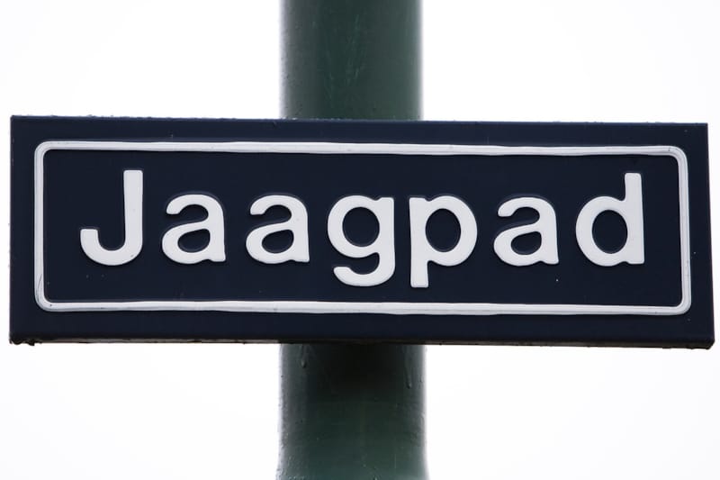 De zaak Anneke van der Stap